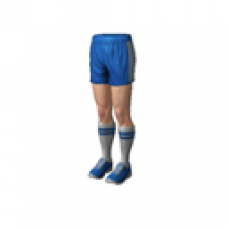 Sport Champions Shorts (Male)